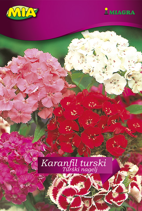 Vrećica cvijeća MIA - Karanfil turski @ 2g
