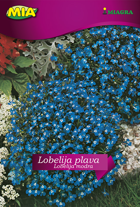 Vrećica cvijeća MIA - Lobelija plava @ 0,5g