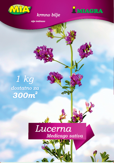 Lucerna @ 1kg (Medicago Sativa)